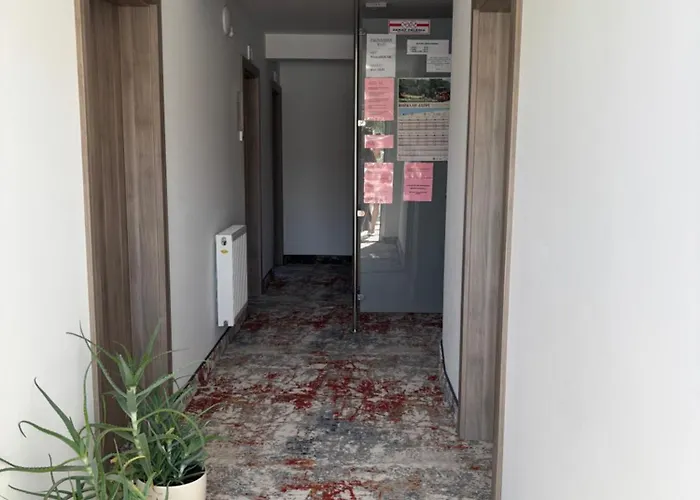 Palisander Z Widokiem Na Morze * Trzęsacz